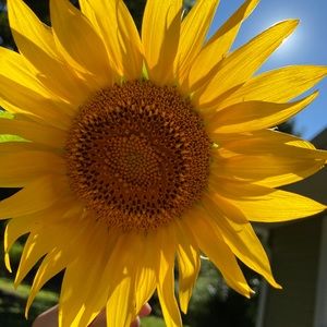 Meet your Posher, Maggie